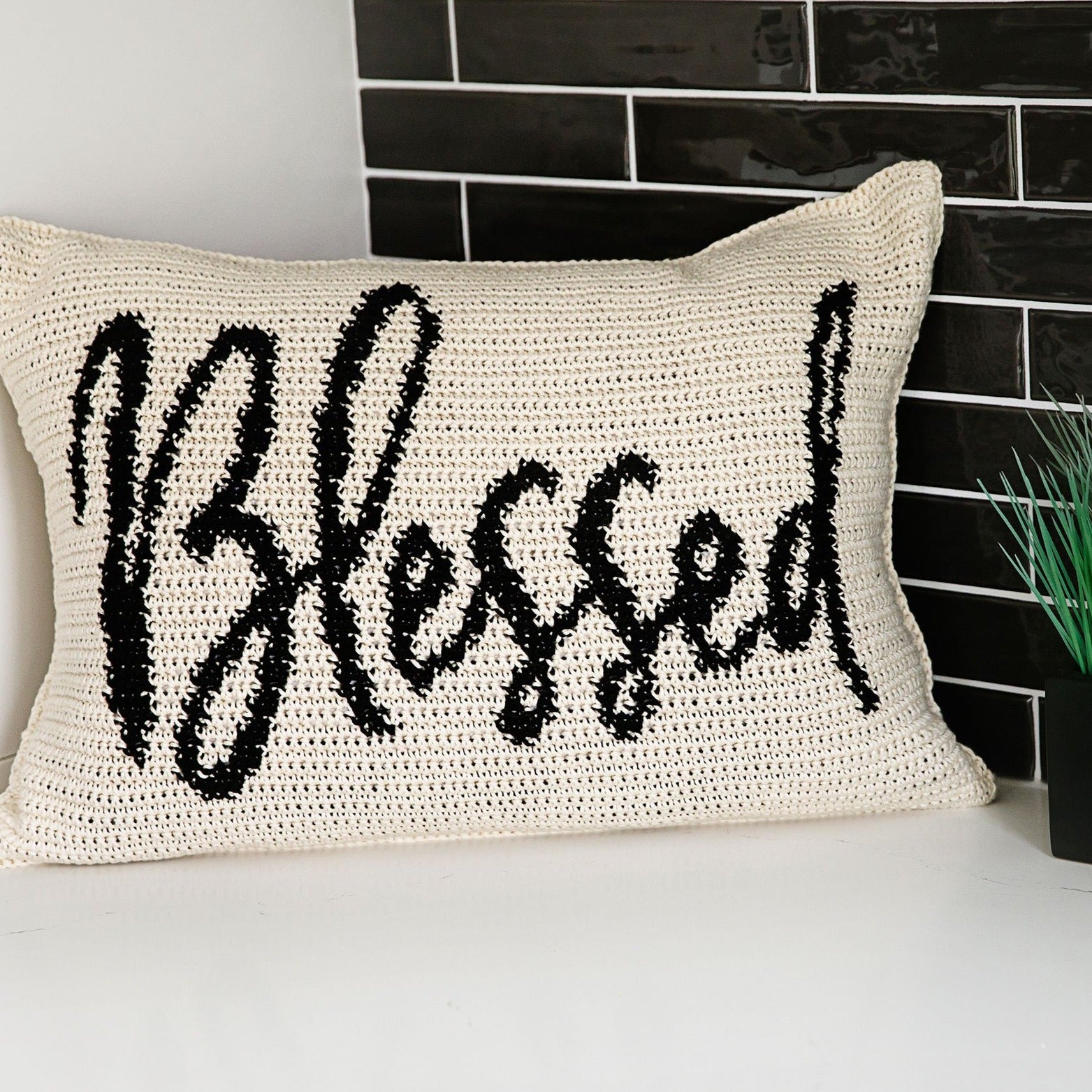 Blessed & Gather Throw Pillows Crochet Pattern